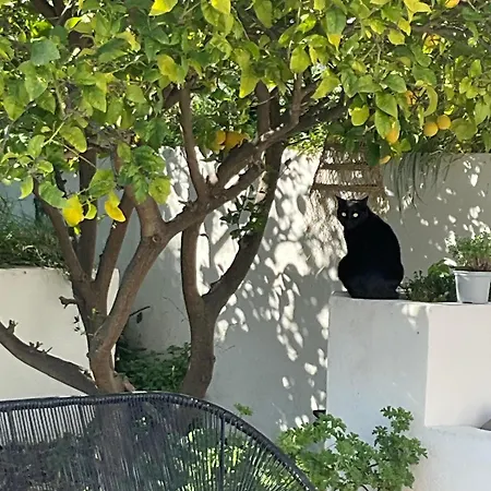 Maison Avec Vue Et Jacuzzi A 15 Mn Du Centre فيلة *