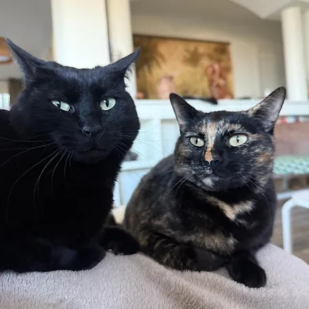 빌라 Maison Avec Vue Et Jacuzzi A 15 Mn Du Centre